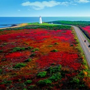 Miscou Island, New Brunswick