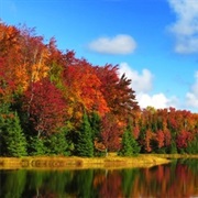 Northern Highland-American Legion State Forest, Wisconsin
