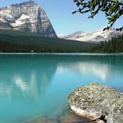 Lake O'Hara