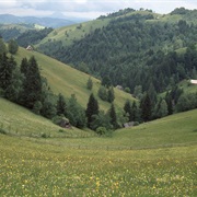 Moieciu Sus and Piatra Craiului, Romania