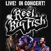 Reel Big Fish - Live! in Concert!