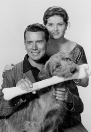 Bachelor Father TV (1957)