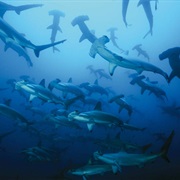Darwin's Arch, Galapagos, Ecuador