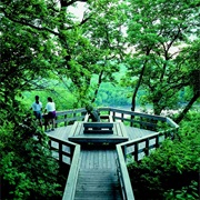 Weston Bend State Park, Missouri