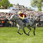 The Plains, Virginia