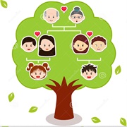 Create Family Tree
