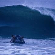 Loango National Park