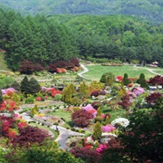 The Garden of Morning Calm