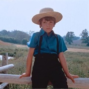 Lukas Haas (Witness)