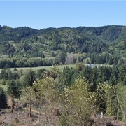 Upper Elochoman, Washington