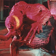 Dr. Edward Pretorius