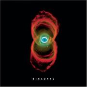 Binaural - Pearl Jam