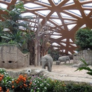 Elephant House, Zurich Zoo