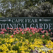 Cape Fear Botanical Garden