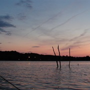 Mautino State Fish and Wildlife Area, Illinois