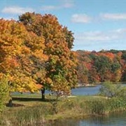A.W. Marion State Park, Ohio