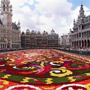 Grand Palace Square Flower Carpet, Brussels