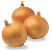 Spanish Onion