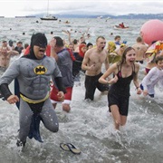 Polar Bear Swim