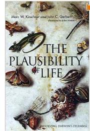 The Plausibility of Life: Resolving Darwin's Dilemma
