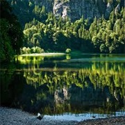 Black Forest National Park, Germany