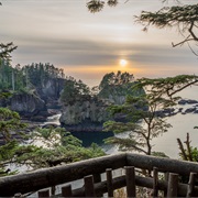Cape Flattery Trail