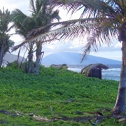 Lata Mountain, American Samoa