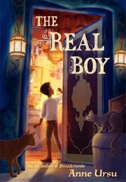 The Real Boy (Anne Ursu)