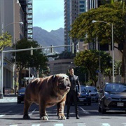 Marvel's Inhumans Season 1 Episode 2 Those Who Would Destroy Us