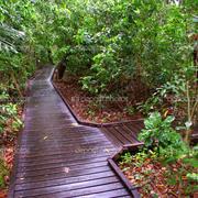 Green Island National Park (QLD)
