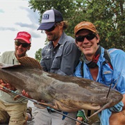 Catch a Vundu Catfish in Bakota Gorge