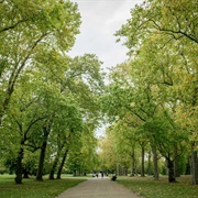 Hyde Park
