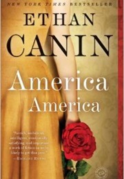 America America (Ethan Canin)