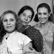 Sem Lenço, Sem Documento