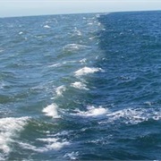 Witness Two Seas Crashing