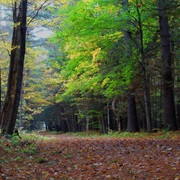 White Memorial Foundation and Conservation Center, Connecticut