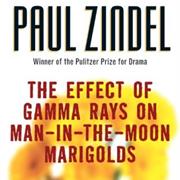 The Effect of Gamma Rays on Man-In-The-Moon Marigolds