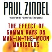 The Effect of Gamma Rays on Man-In-The-Moon Marigolds