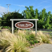 Picnic in Crane Park, St. Helena, California
