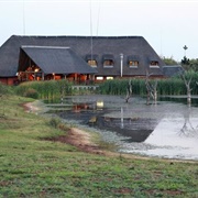 Nisela Safaris, Eswatini