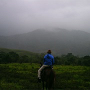 Rode Horseback in the Mountains of Honduras