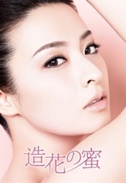 Zouka No Mitsu (2011)