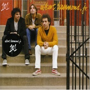 Albert Hammond, Jr., "101"
