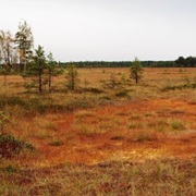 Valkmusa NP / Munasuo, Finland