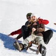 Go Sledding