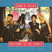 Welcome to the Jungle - Guns N' Roses