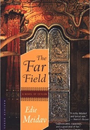 The Far Field (Edie Meidav)