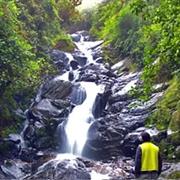 Talamanca Range-La Amistad Reserves / La Amistad National Park