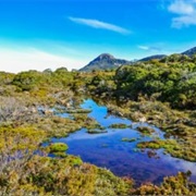 Visit a National Park