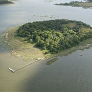 Green Island, Poole Harbour
